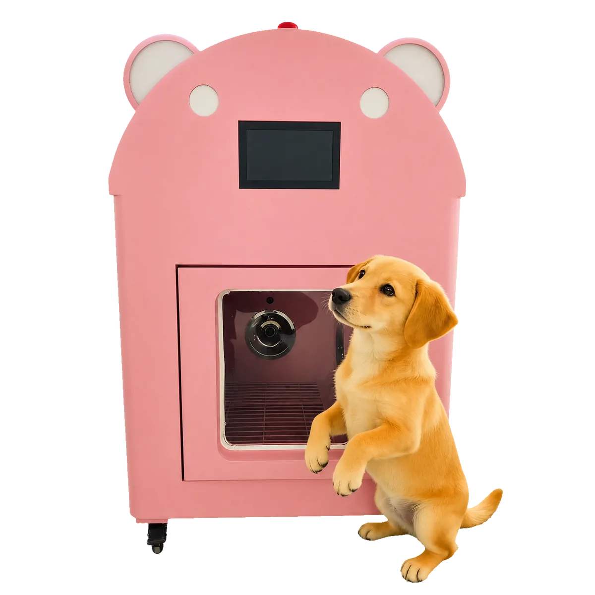 PetWash Mini compact pet wash machine for shelter cat rooms
