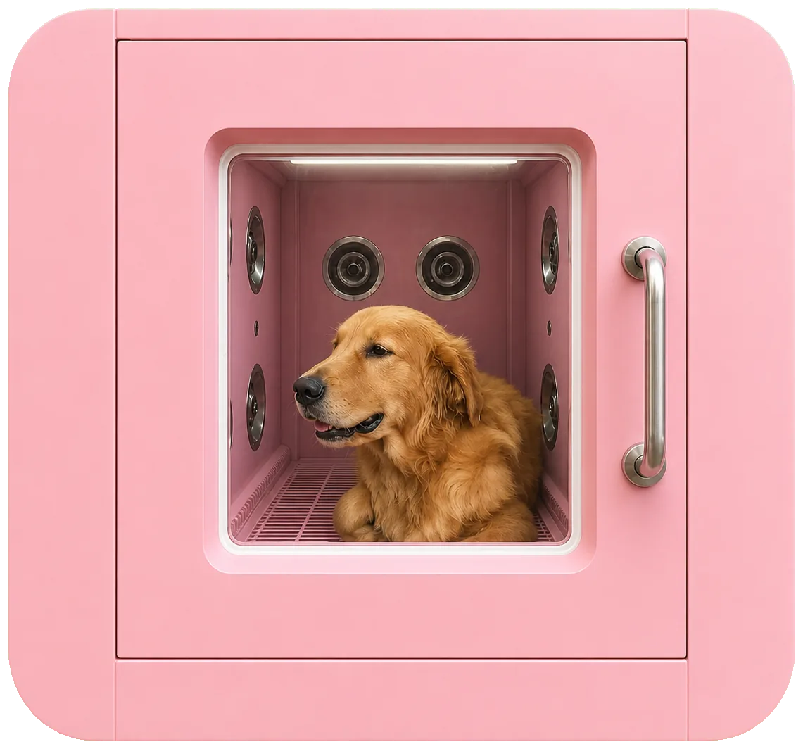 dog waiting inside the pet wash machine, seen through the door window